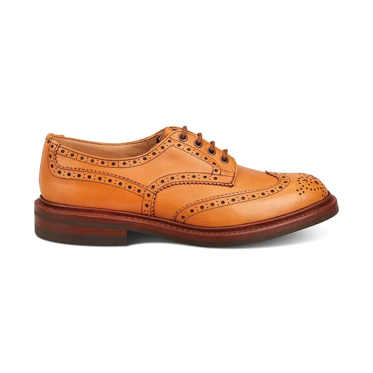 Bourton Brogue - Acorn